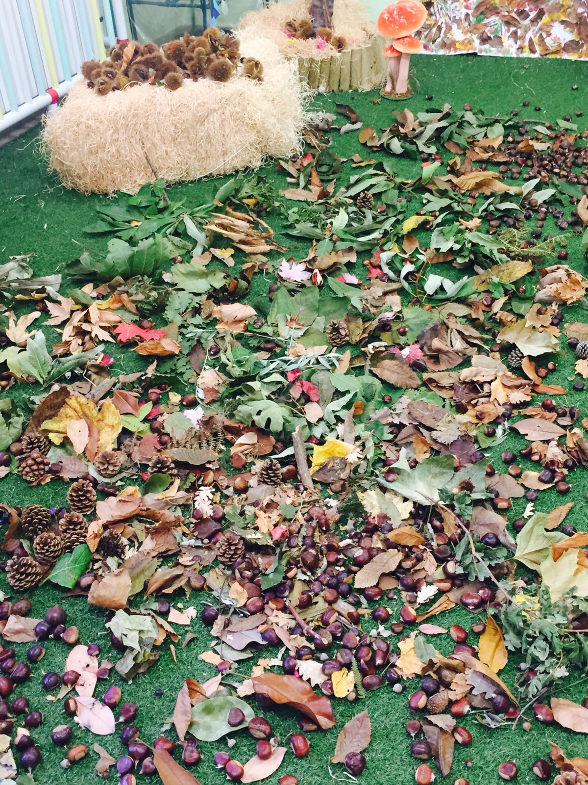 Laboratorio autunnale