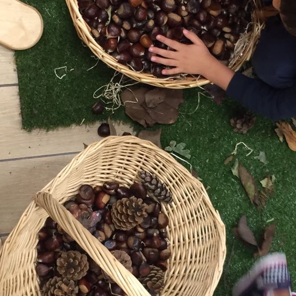 Laboratorio autunnale